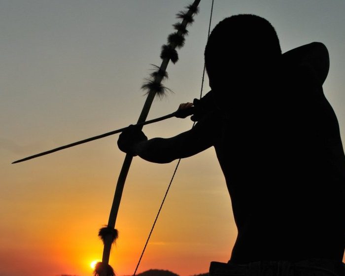 Did humans evolve to be active throughout the day and night?