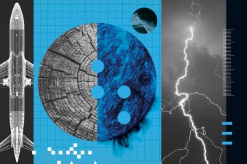 How ancient trees are warning us about the next enormous solar storm