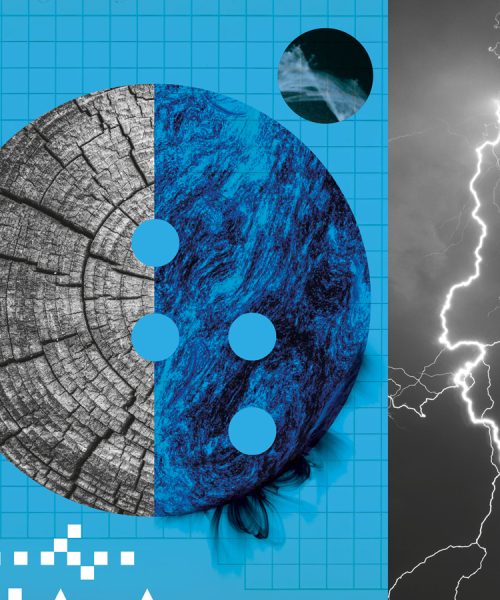 How ancient trees are warning us about the next enormous solar storm