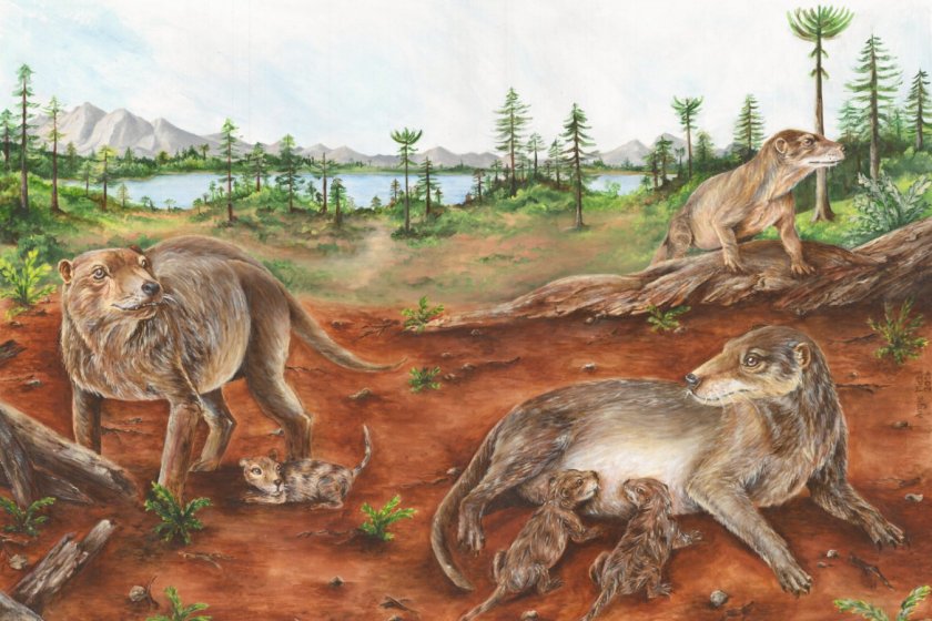 life reconstruction of a group of Chiniquodon theotonicus