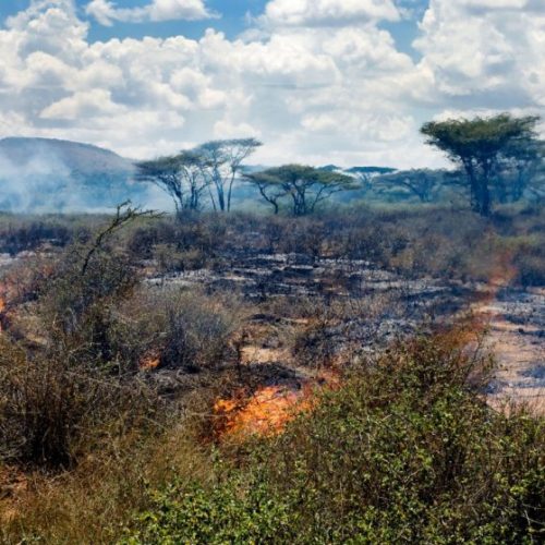 Monsoon-driven wildfires may have shaped human evolution