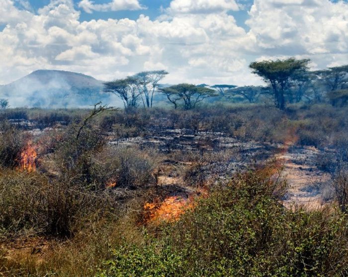 Monsoon-driven wildfires may have shaped human evolution