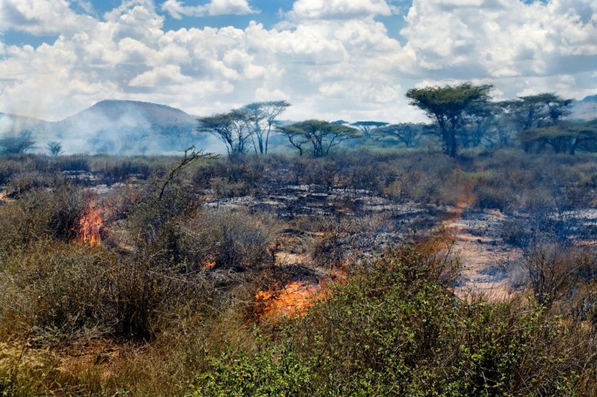 Wildfire in African savanna