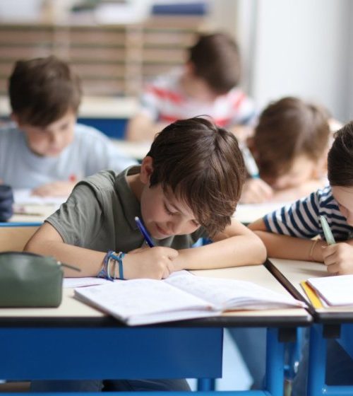 Test moderators use AI-generated writing to judge literacy standards