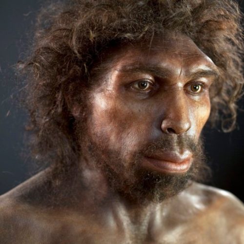 The genome of a long-extinct ancient human is hiding within us