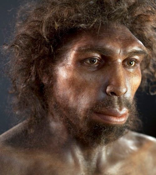 The genome of a long-extinct ancient human is hiding within us
