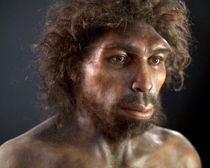 The genome of a long-extinct ancient human is hiding within us