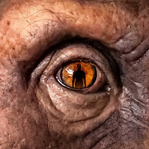 We still don’t know when humans began