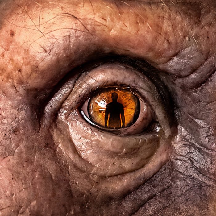 We still don’t know when humans began