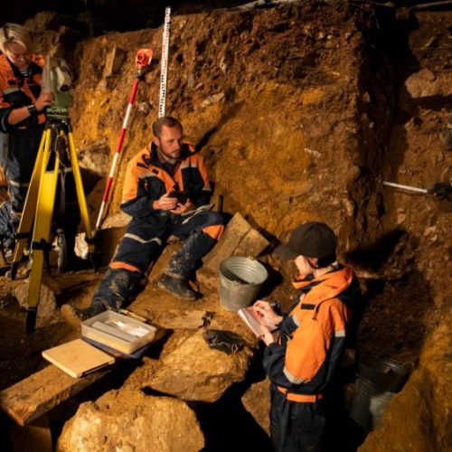Extinct yak relative discovered from DNA in Denisova cave