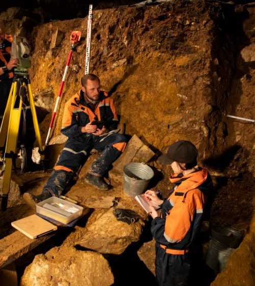 Extinct yak relative discovered from DNA in Denisova cave