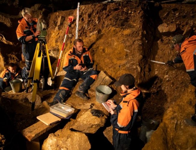 Extinct yak relative discovered from DNA in Denisova cave