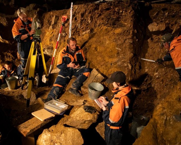 Extinct yak relative discovered from DNA in Denisova cave