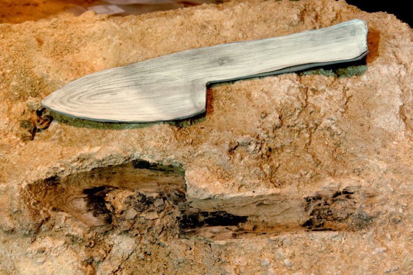 Wooden object from the Abric Romaní site interpreted as a wooden club